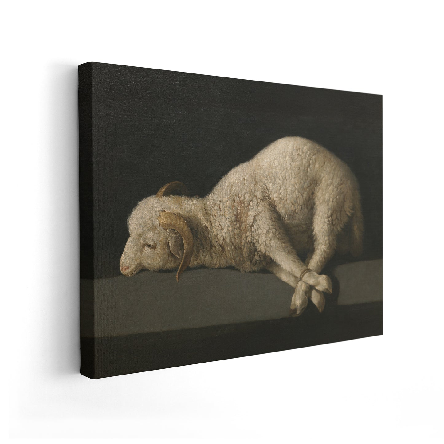 Agnus Dei | Francisco de Zurbarán | 1640