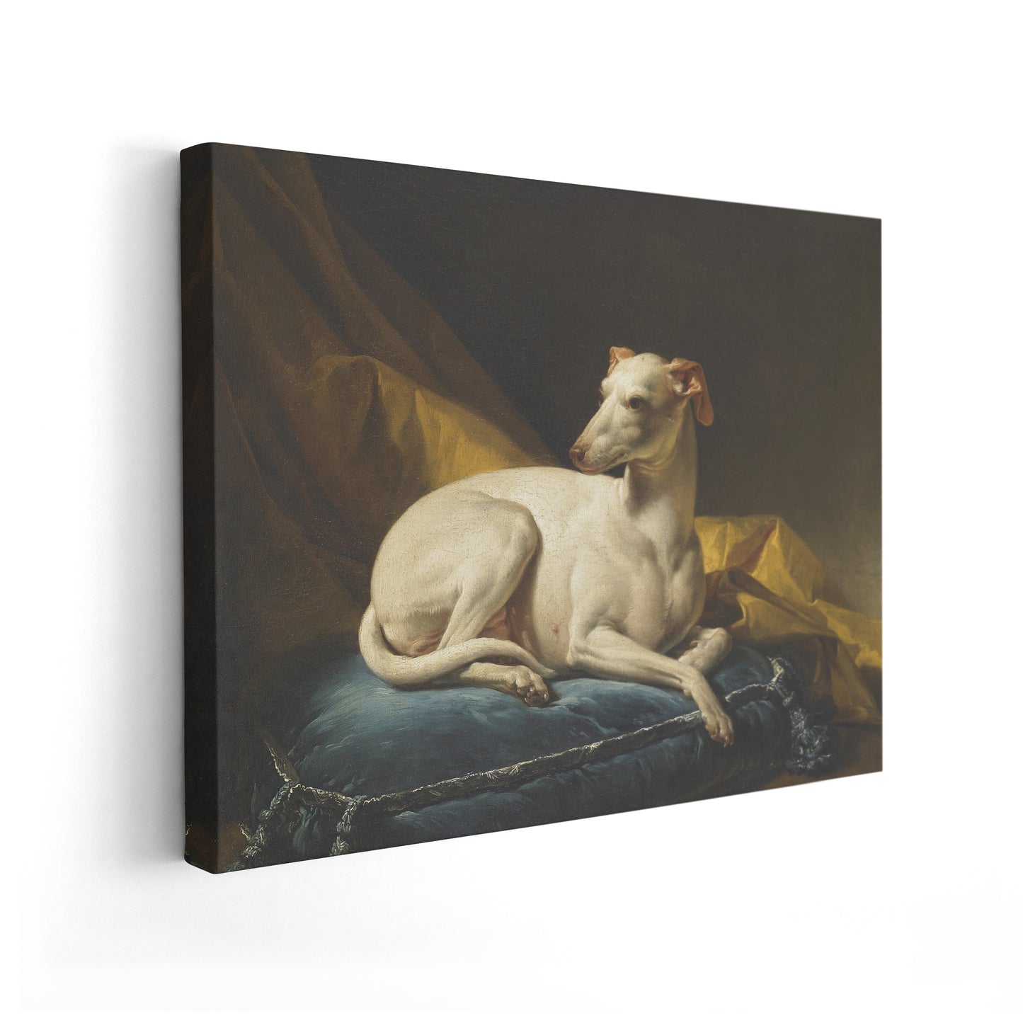 Portrait de Diane, levrette de Bergeret | François-André Vincent | 1774