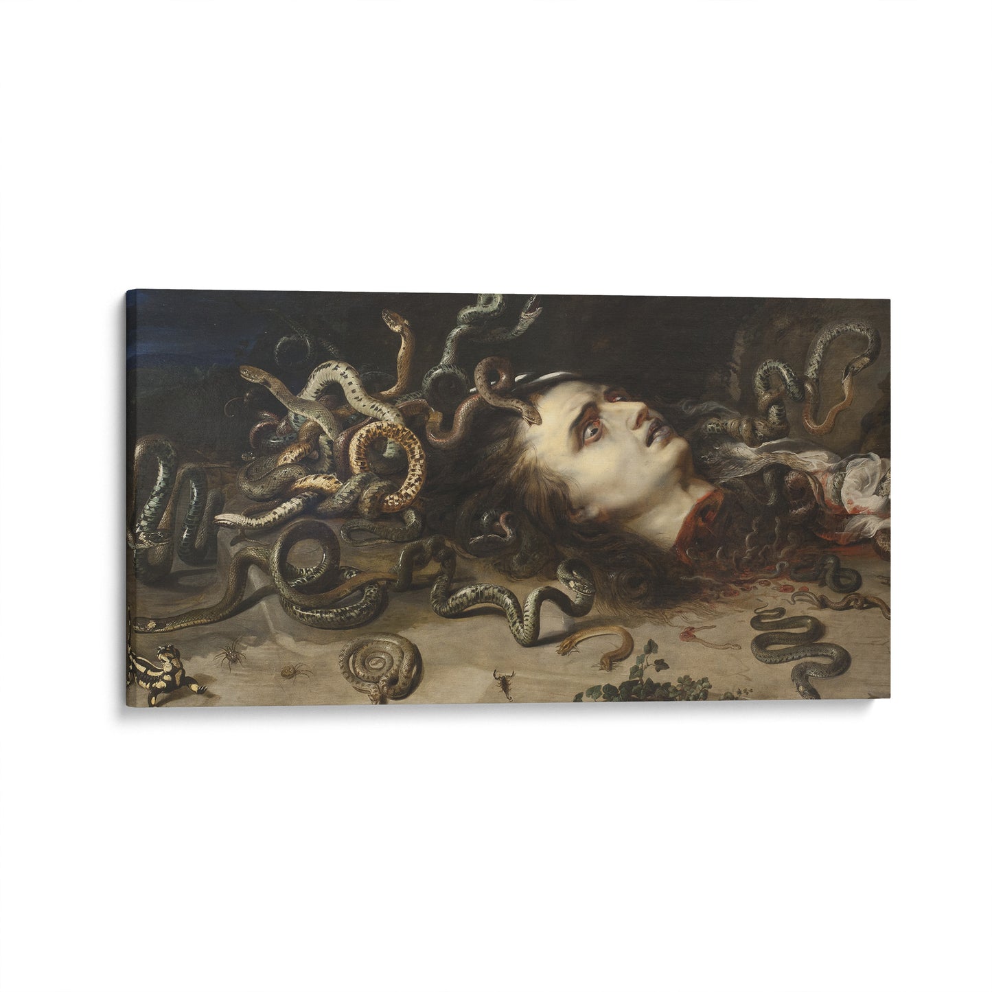 Head of Medusa | Peter Paul Rubens | 1618