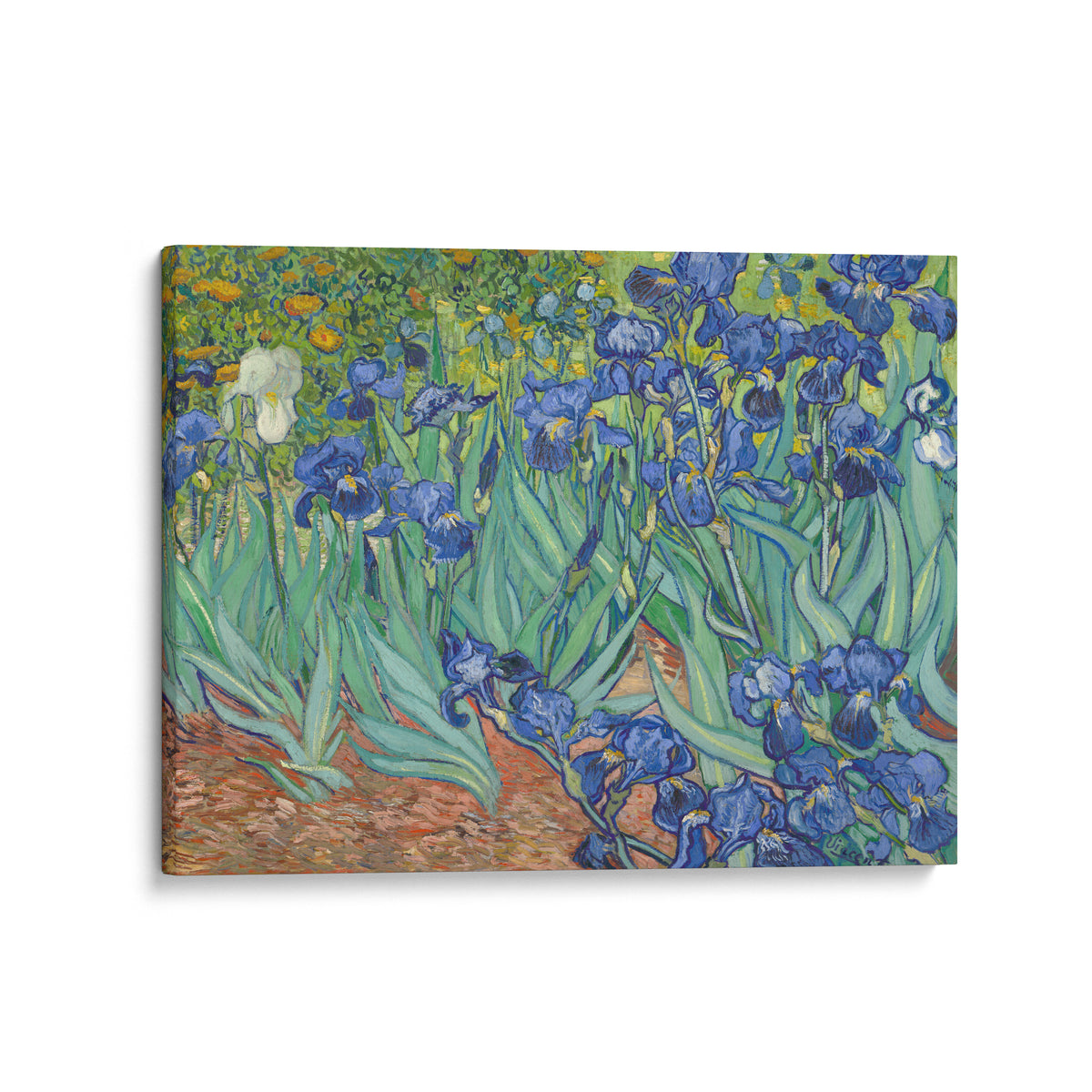 Les Iris | Vincent van Gogh | 1889