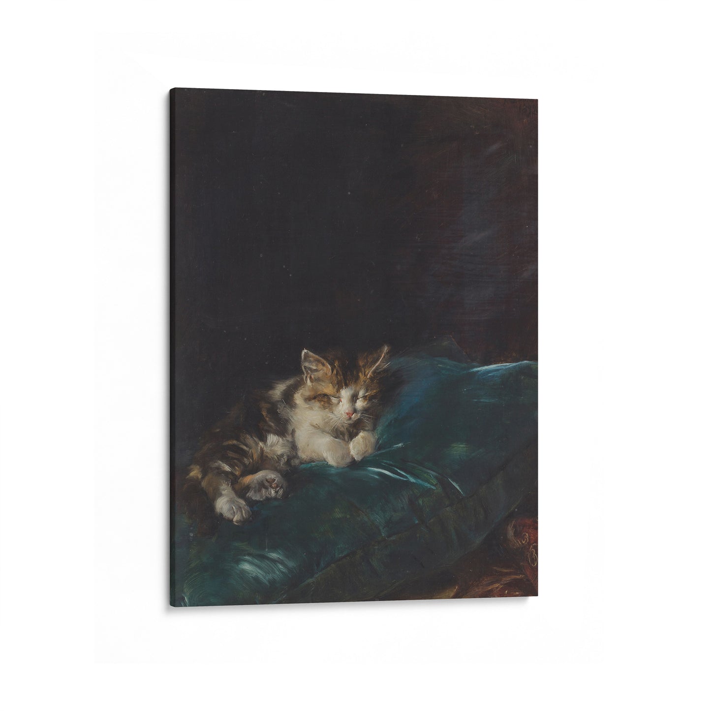Cat Sleeping on a Cushion | Francisco Domingo Marqués | 1892