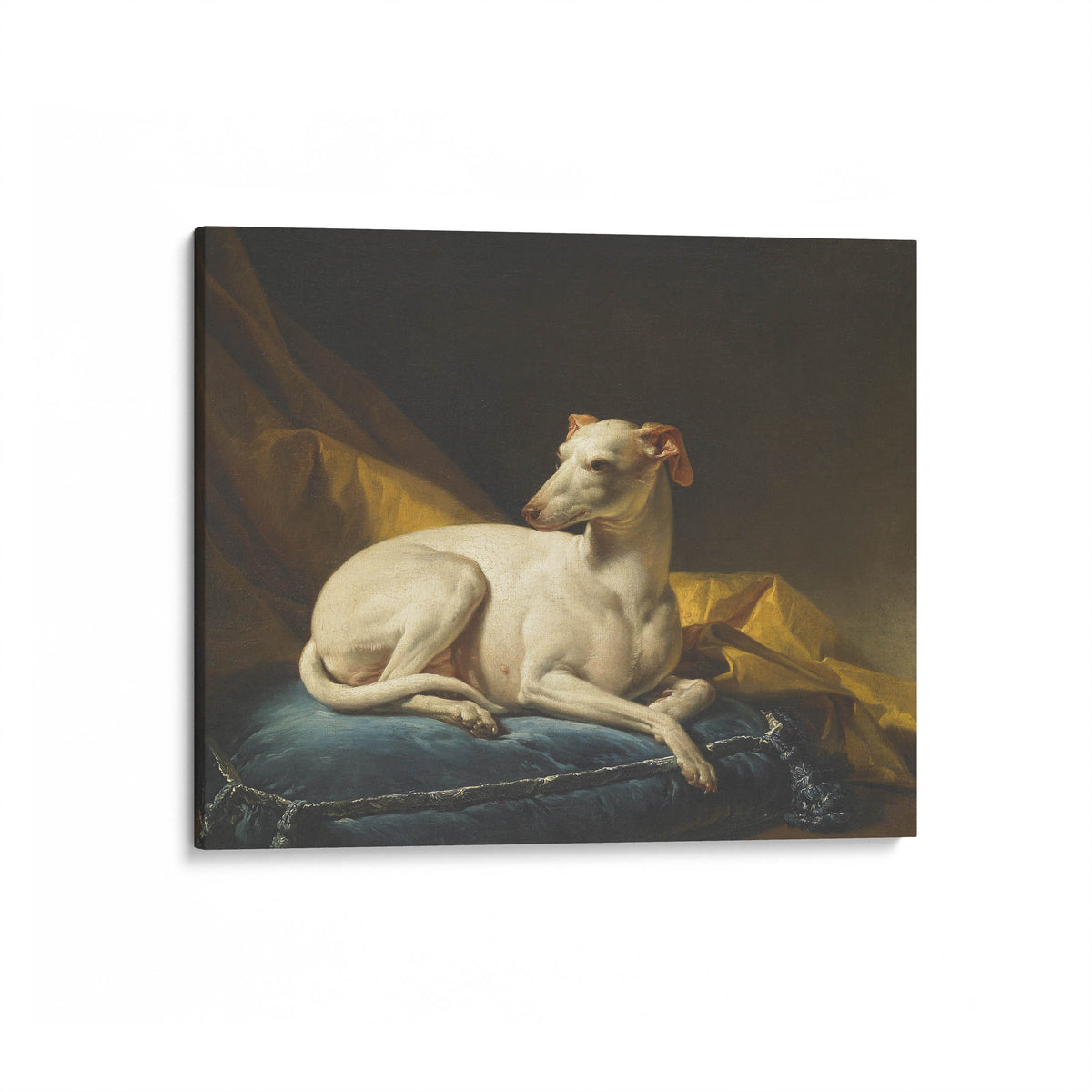 Portrait de Diane, levrette de Bergeret | François-André Vincent | 1774