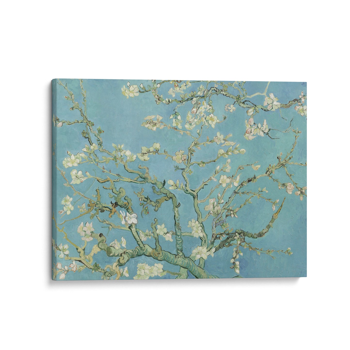 Almond Blossom | Vincent van Gogh | 1890