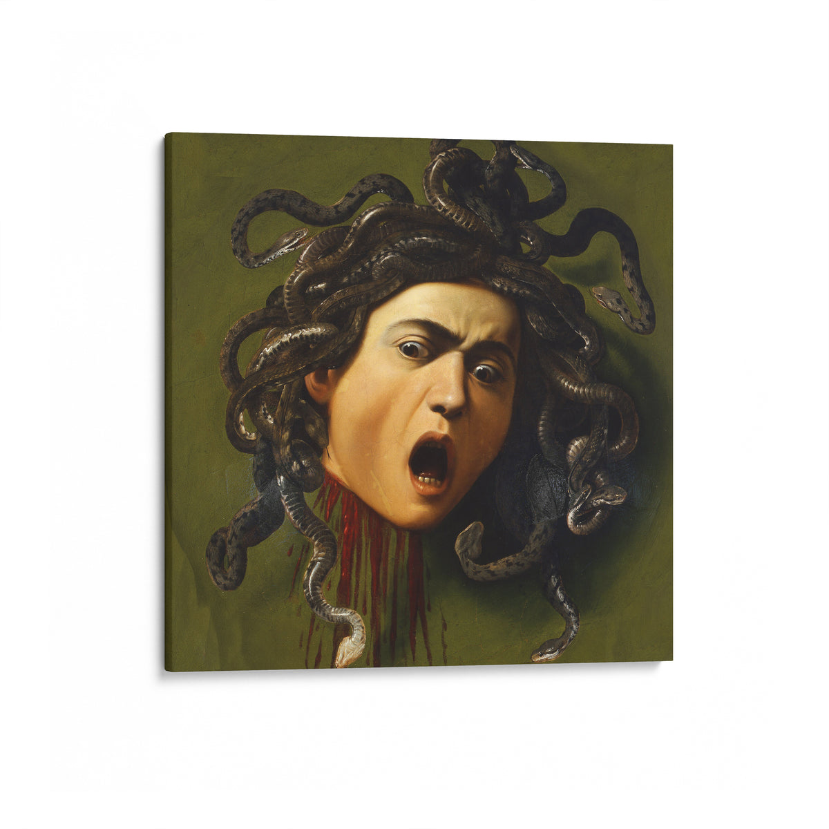 Medusa | Caravaggio | 1597