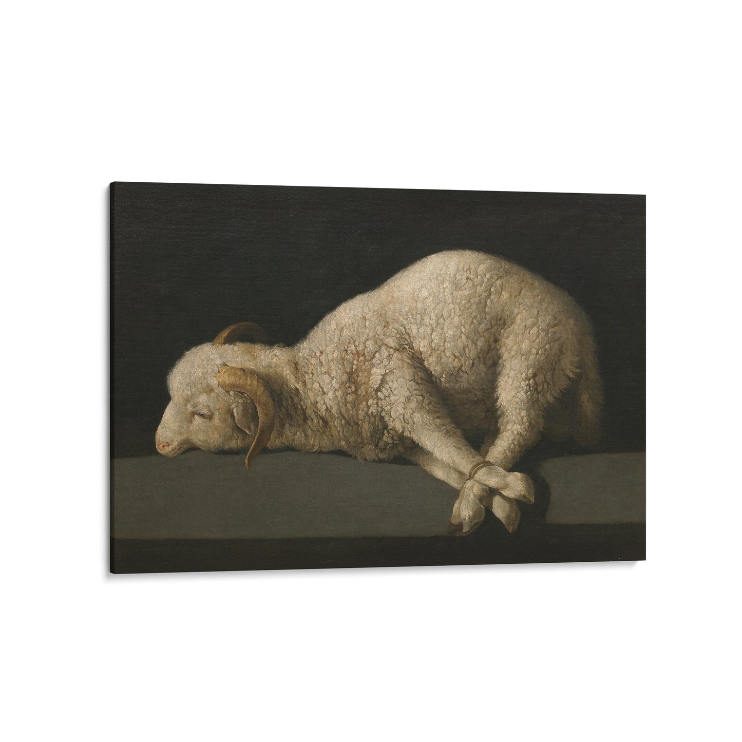 Agnus Dei | Francisco de Zurbarán | 1640