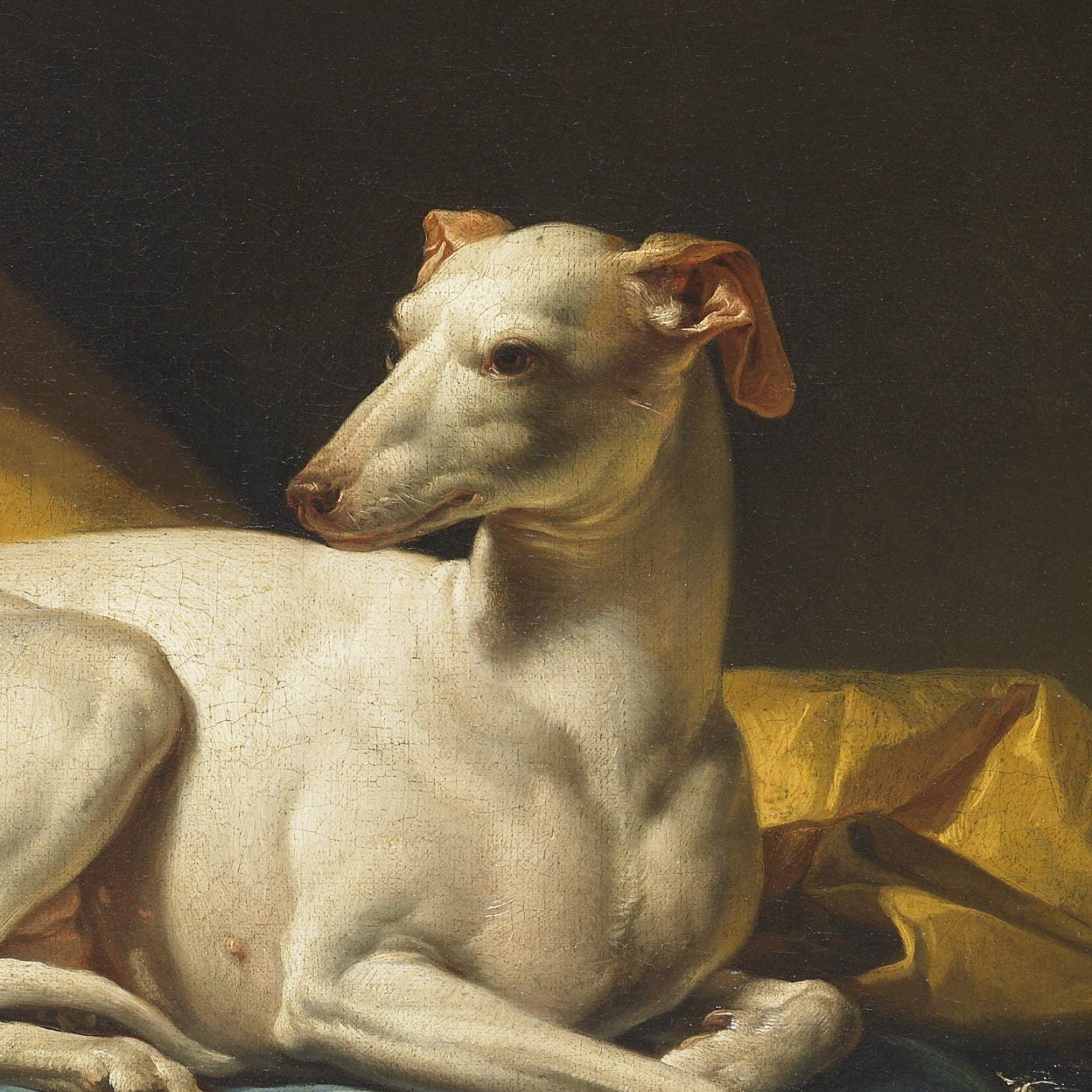 Portrait de Diane, levrette de Bergeret | François-André Vincent | 1774