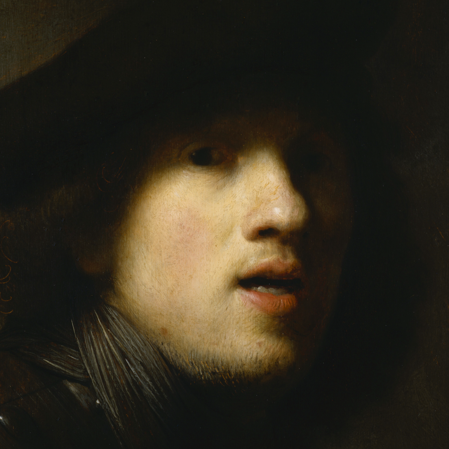 Self-Portrait | Rembrandt | 1629