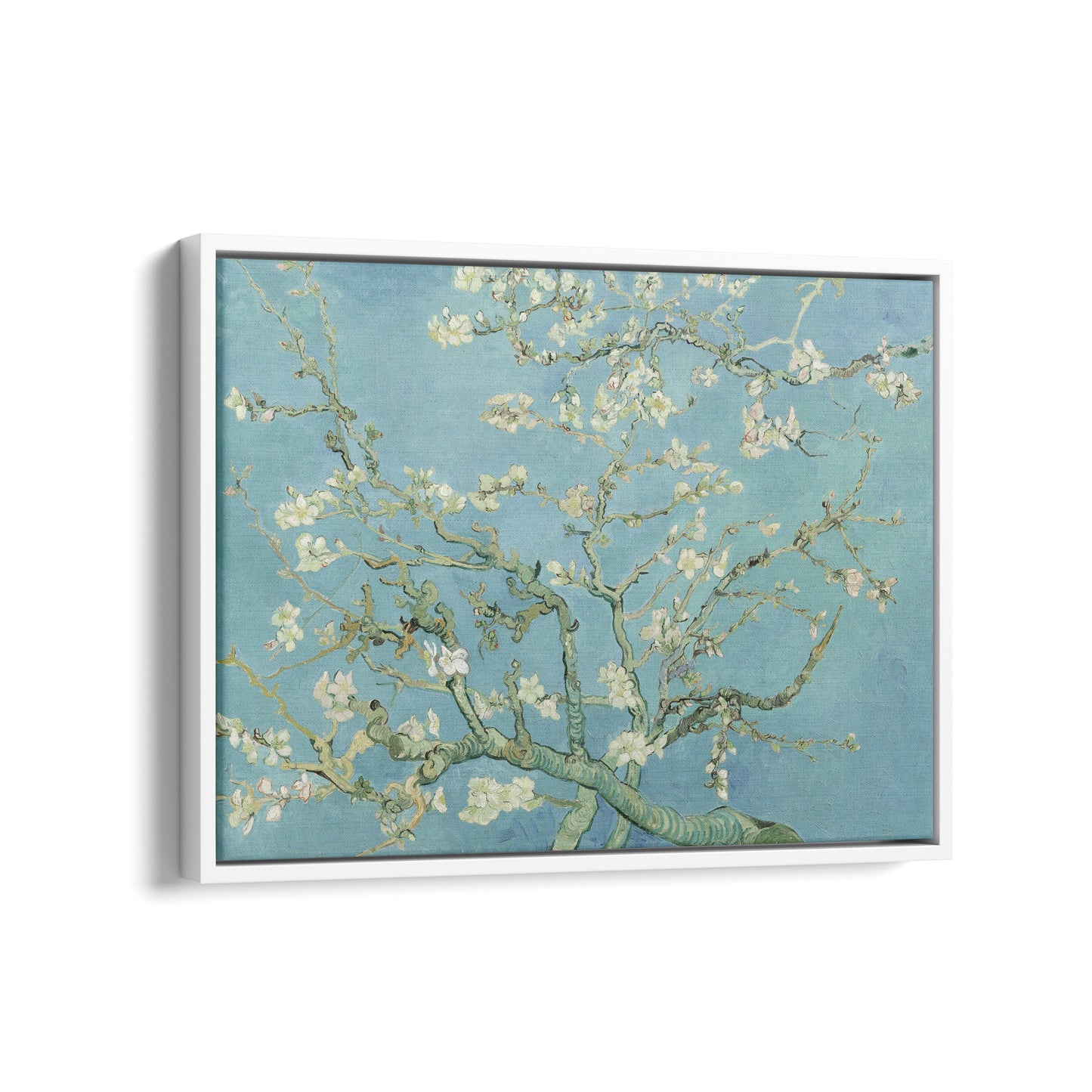 Almond Blossom | Vincent van Gogh | 1890