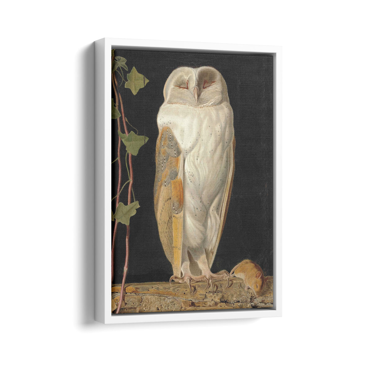 The White Owl | William James Webbe | 1856