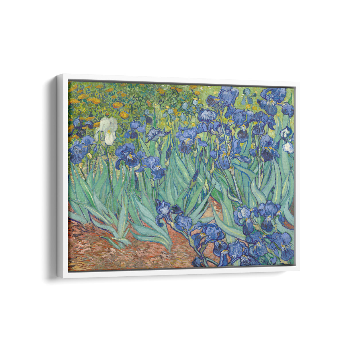 Les Iris | Vincent van Gogh | 1889