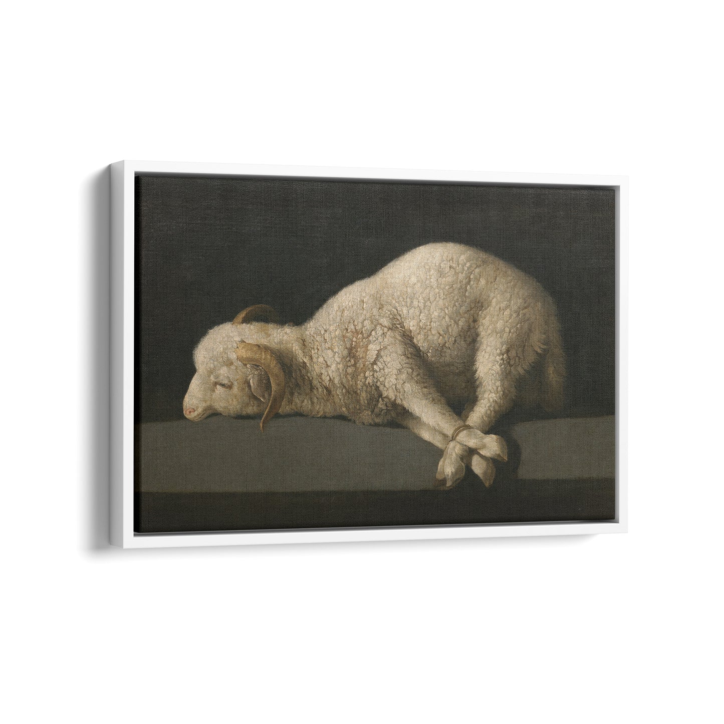 Agnus Dei | Francisco de Zurbarán | 1640