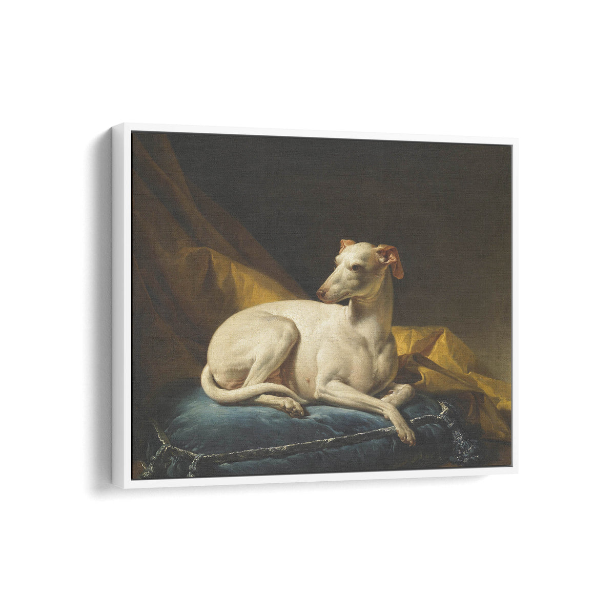 Portrait de Diane, levrette de Bergeret | François-André Vincent | 1774