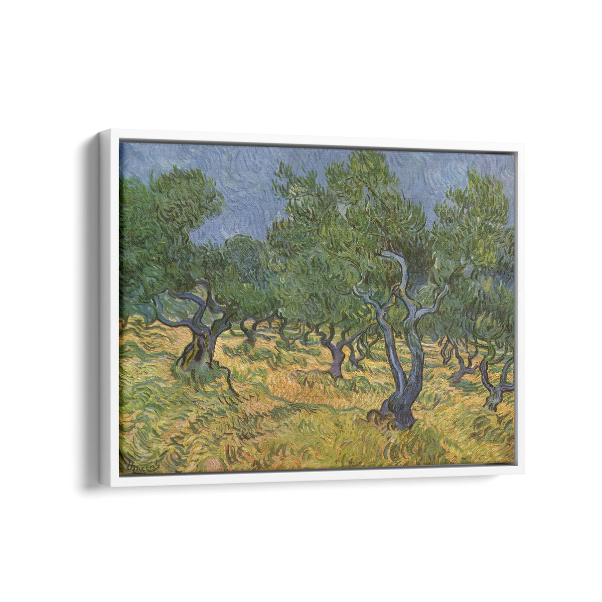 Olive Trees | Vincent van Gogh | 1889