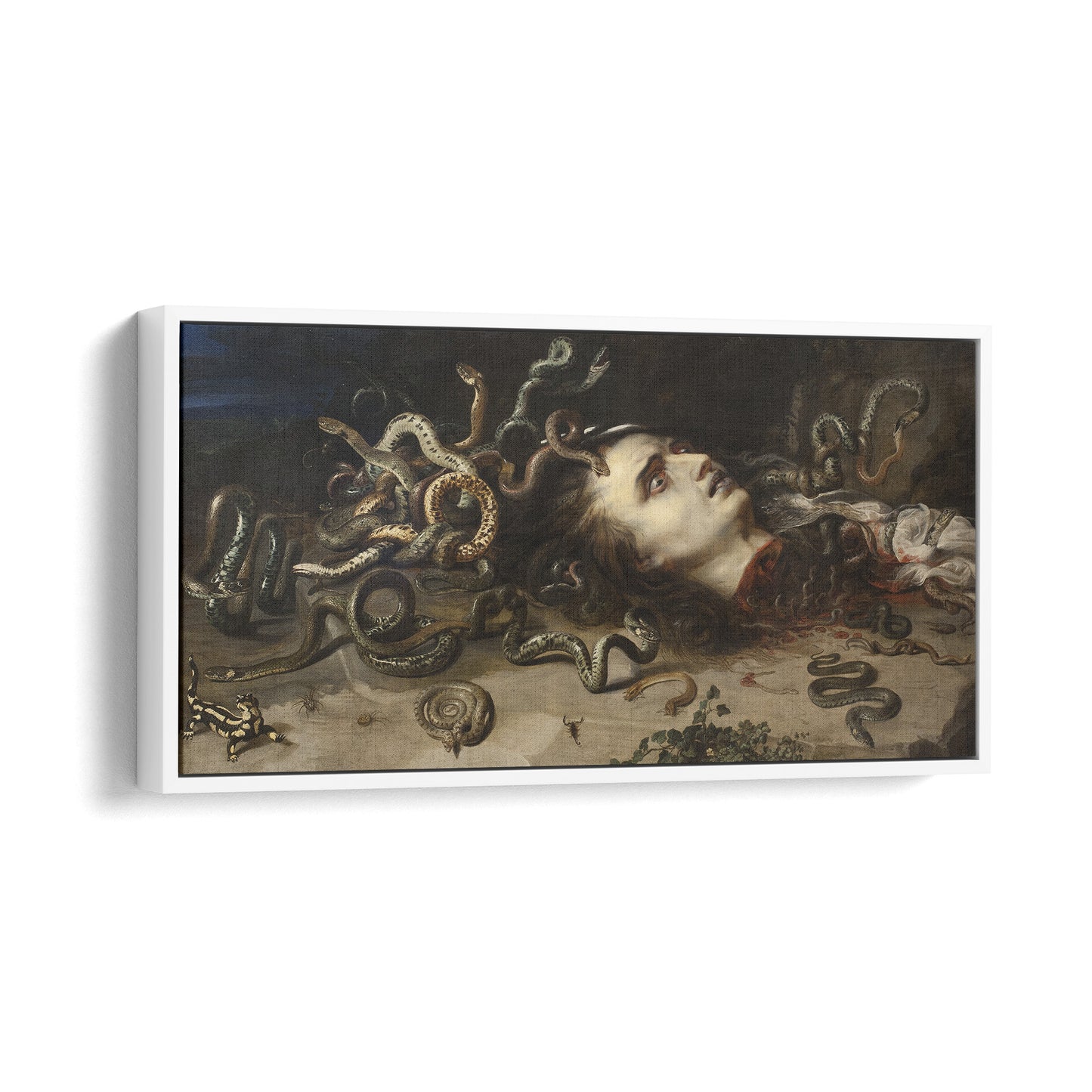 Head of Medusa | Peter Paul Rubens | 1618
