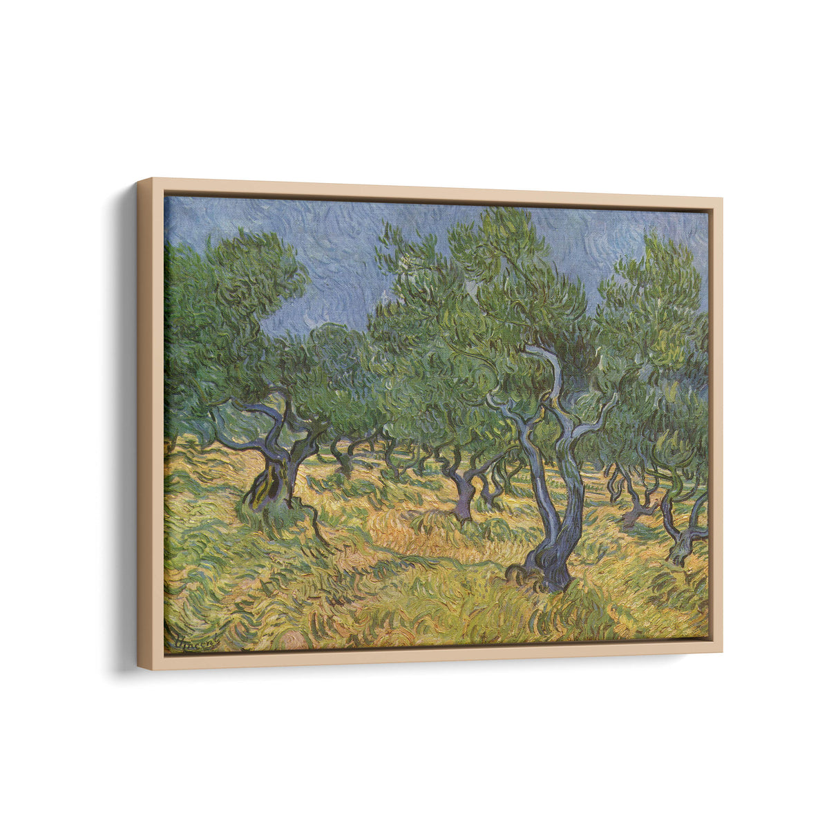 Olive Trees | Vincent van Gogh | 1889