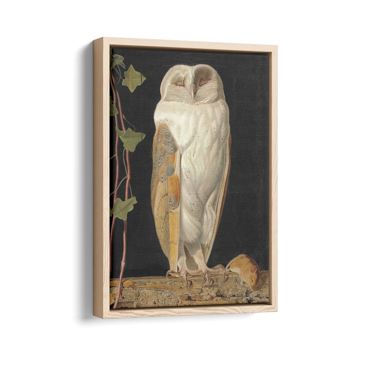The White Owl | William James Webbe | 1856