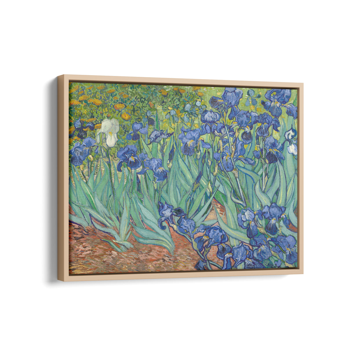 Les Iris | Vincent van Gogh | 1889