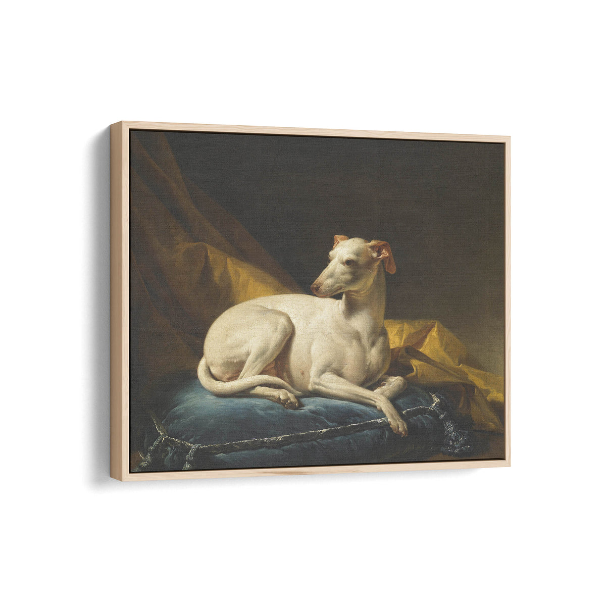 Portrait de Diane, levrette de Bergeret | François-André Vincent | 1774