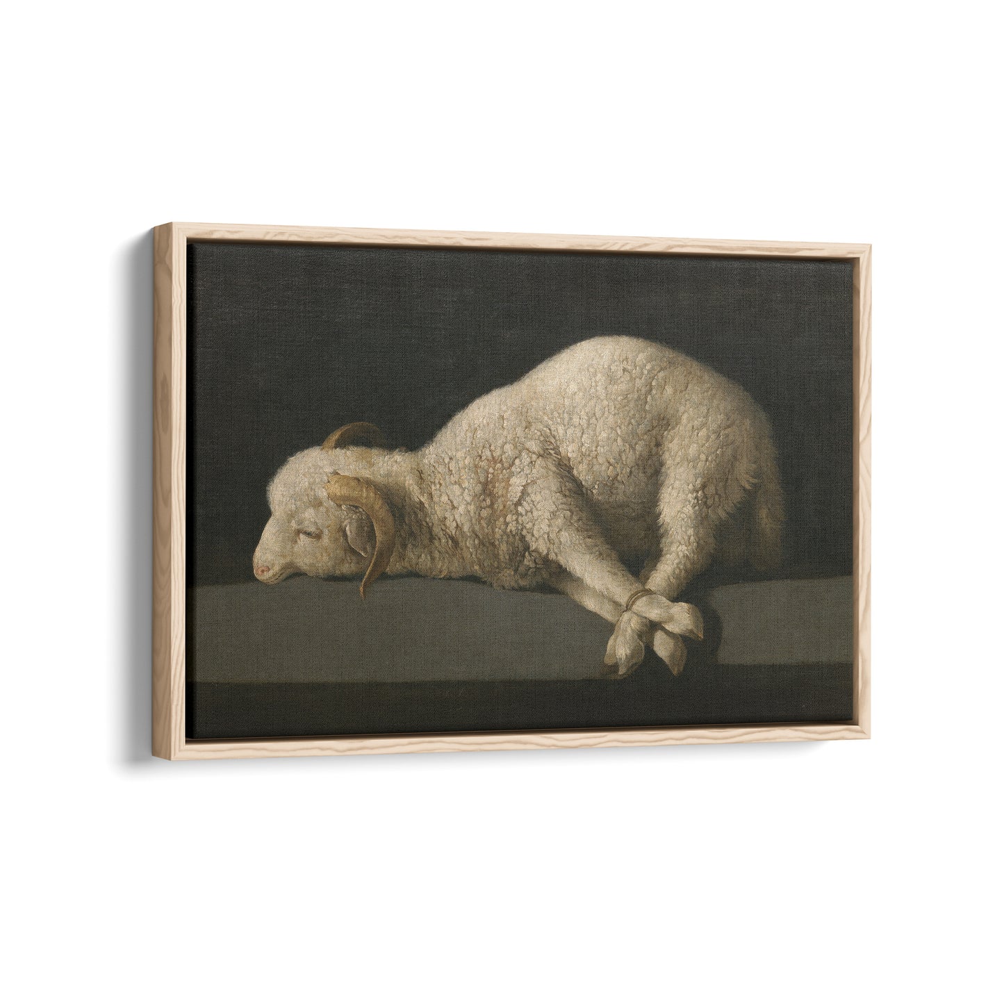 Agnus Dei | Francisco de Zurbarán | 1640