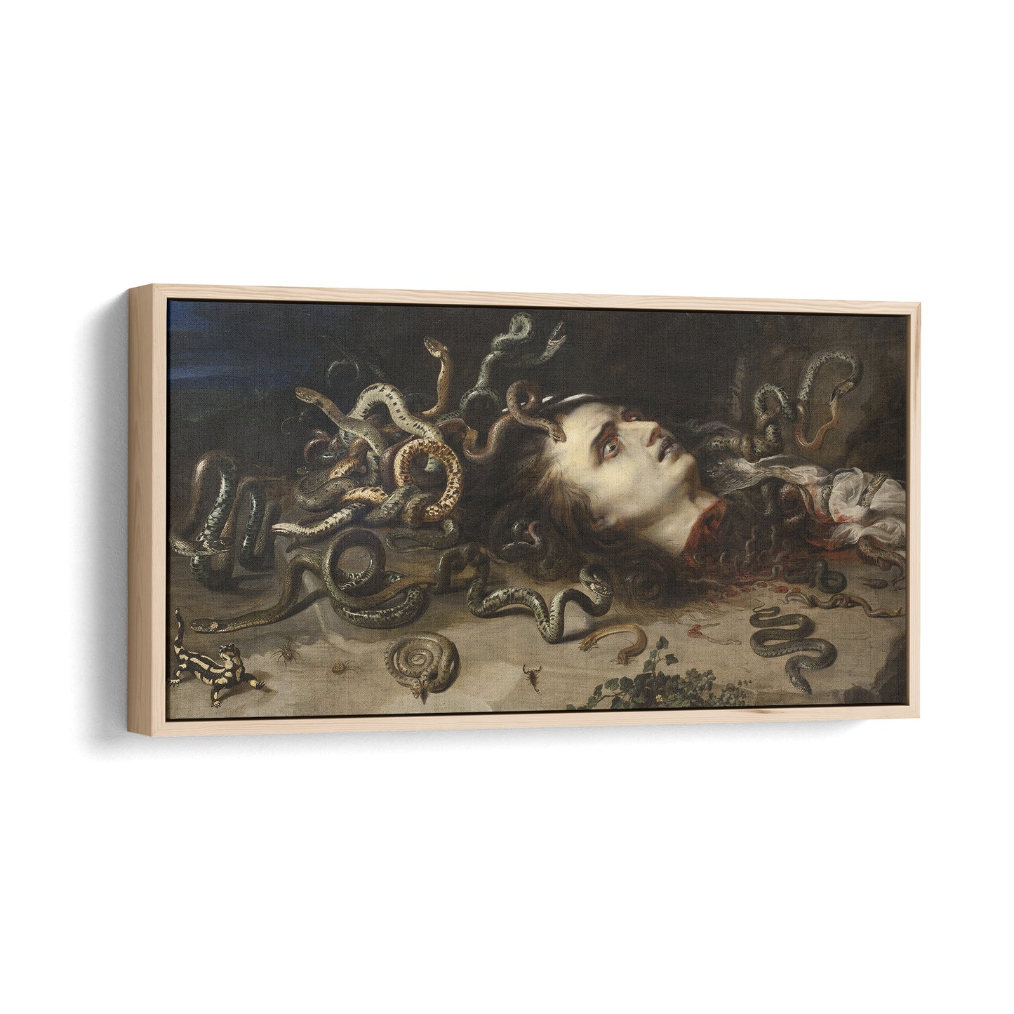 Head of Medusa | Peter Paul Rubens | 1618