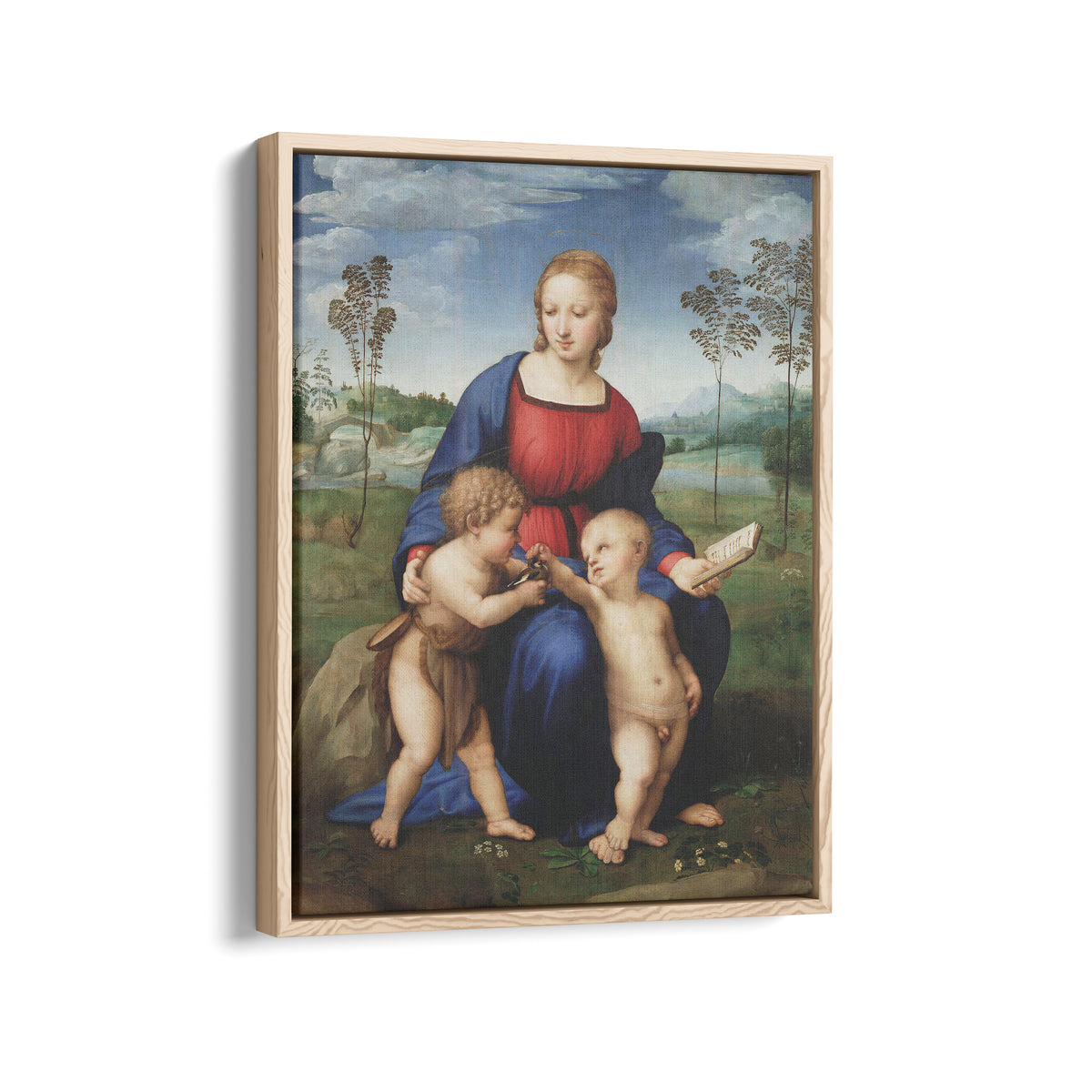 Madonna of the Goldfinch | Raphael | 1505